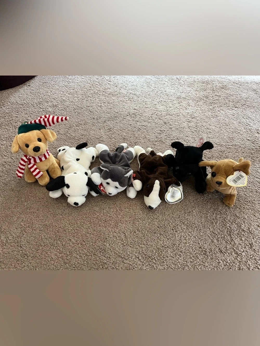 Ty Plush Husky and Assorted Dog Pack - Gray, White, Brown, Black